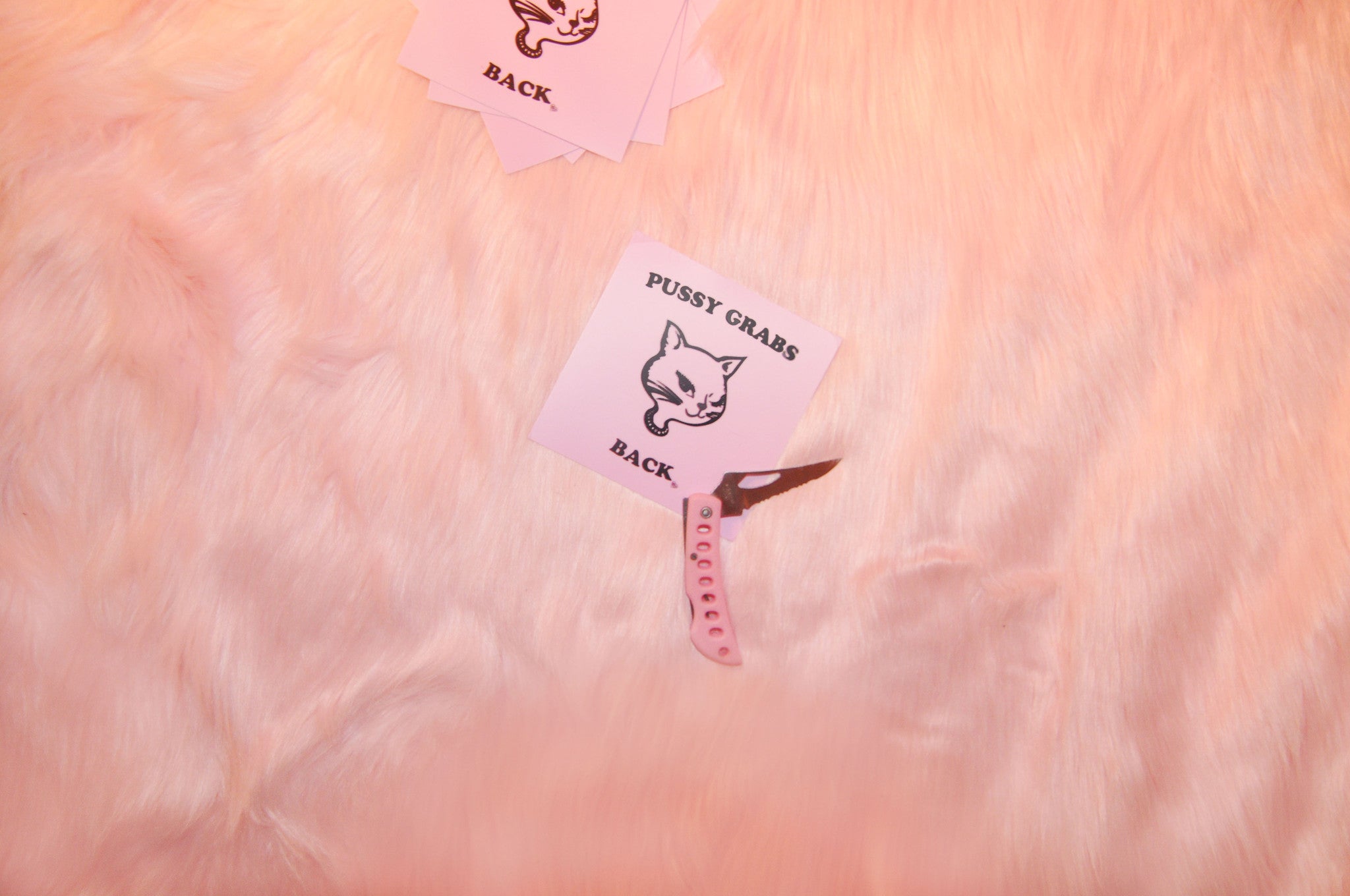 PUSSY GRABS BACK STICKER PACK