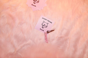PUSSY GRABS BACK STICKER PACK