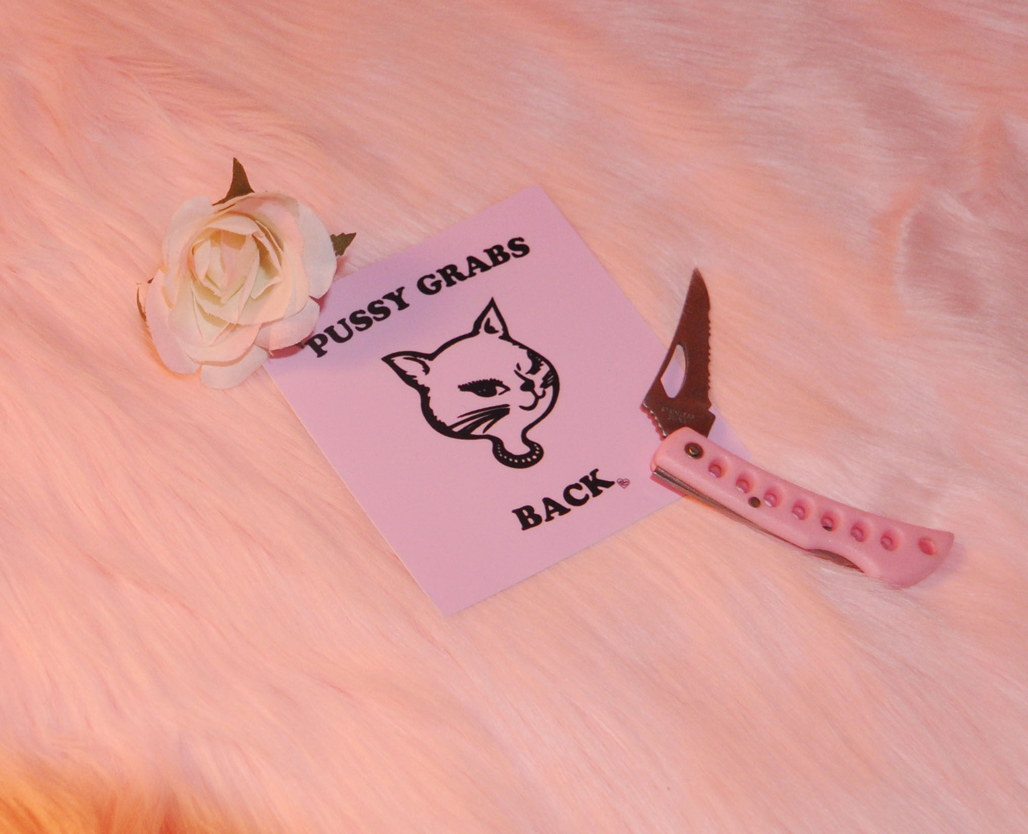 PUSSY GRABS BACK STICKER PACK