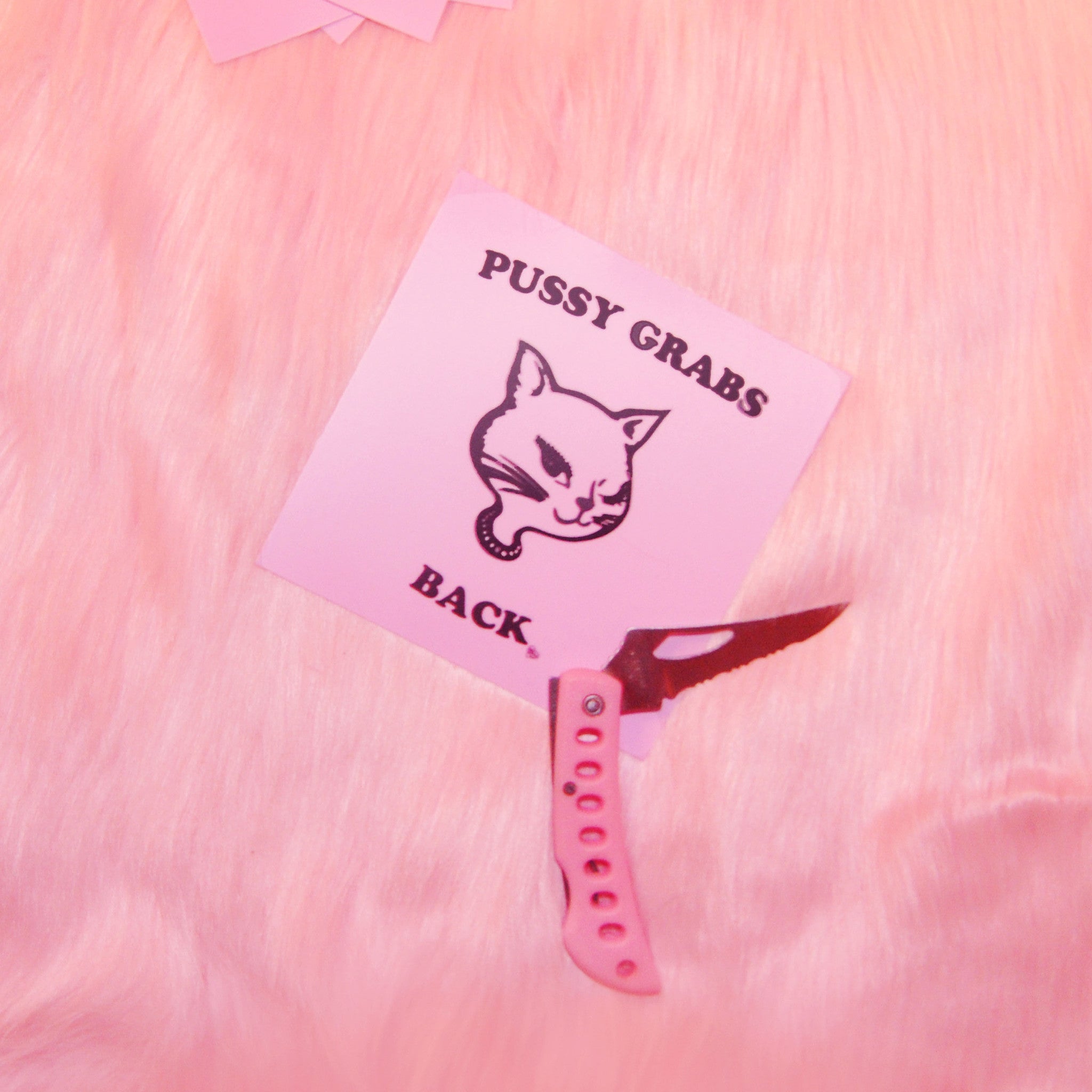 PUSSY GRABS BACK STICKER PACK