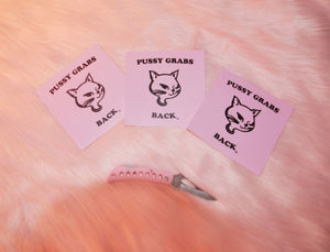 PUSSY GRABS BACK STICKER PACK