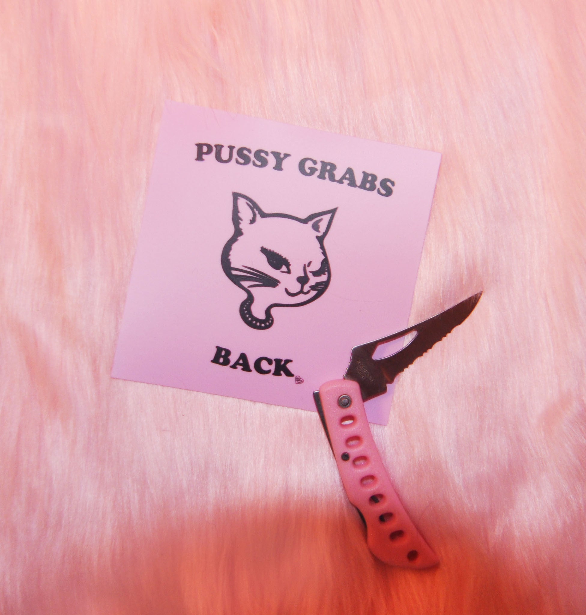 PUSSY GRABS BACK STICKER PACK
